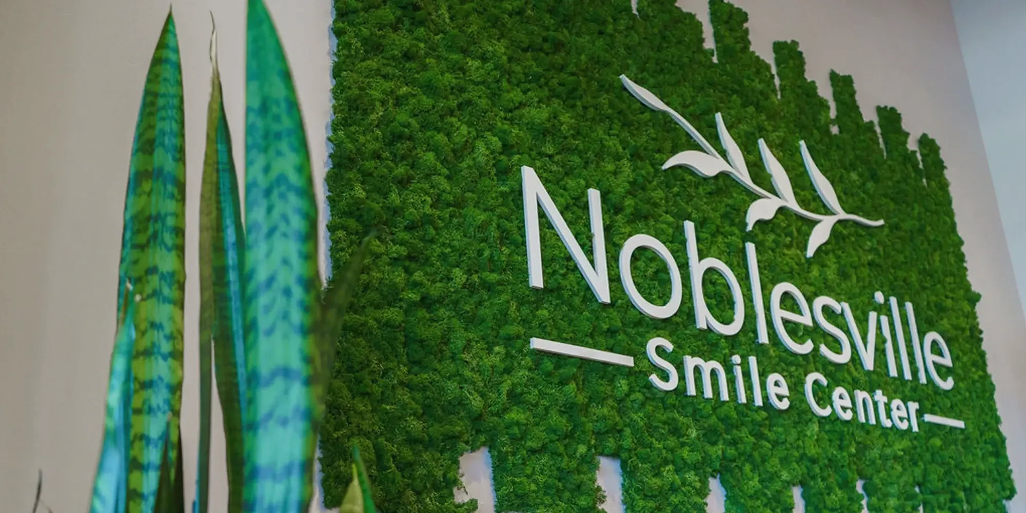 Lobby view of the Noblesville Smile Center moss wall sign