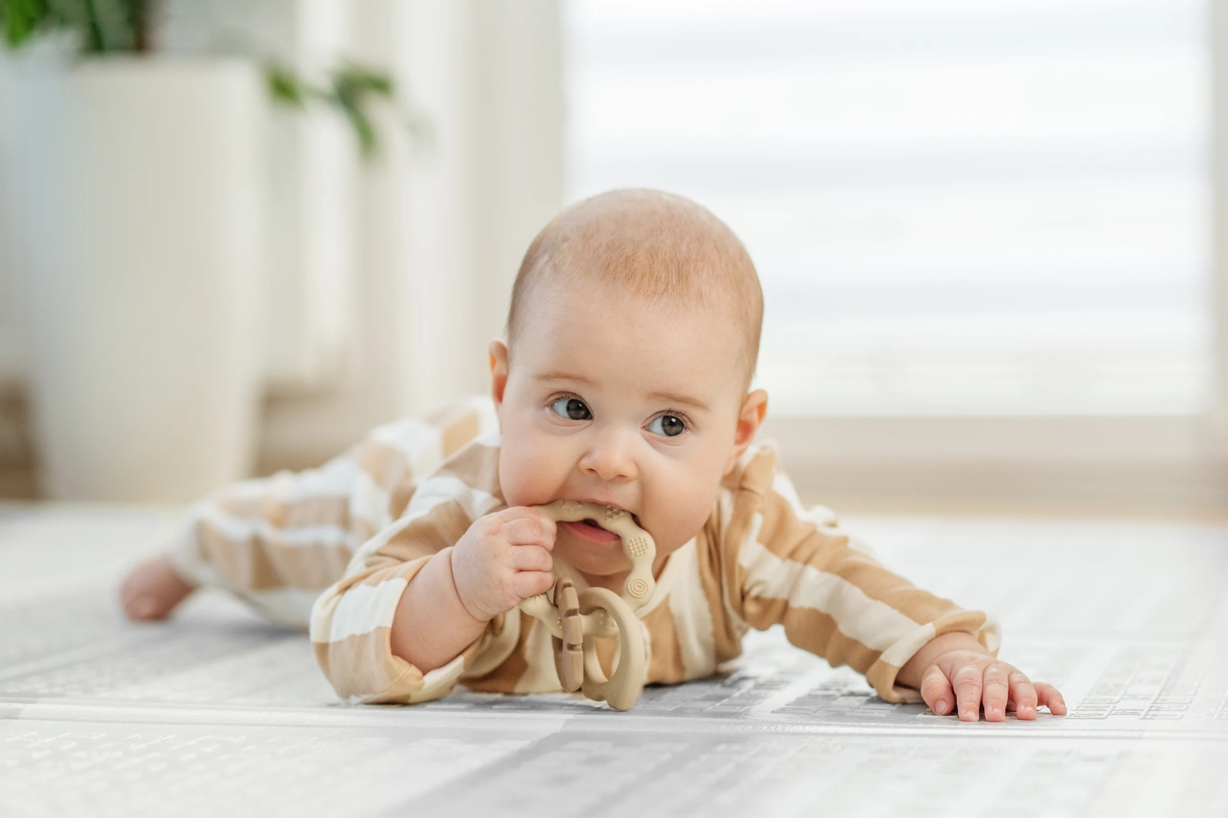 Baby teething on a toy